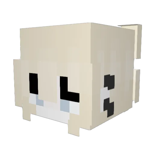 _kittypaw Minecraft avatar head, 3D render