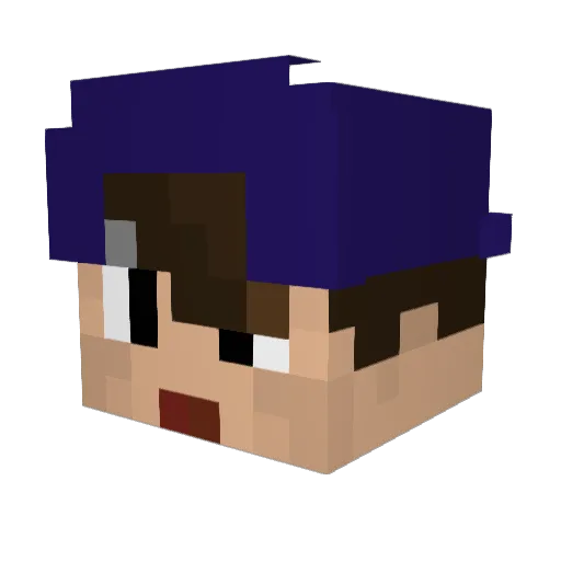 _koubana_ Minecraft avatar head, 3D render