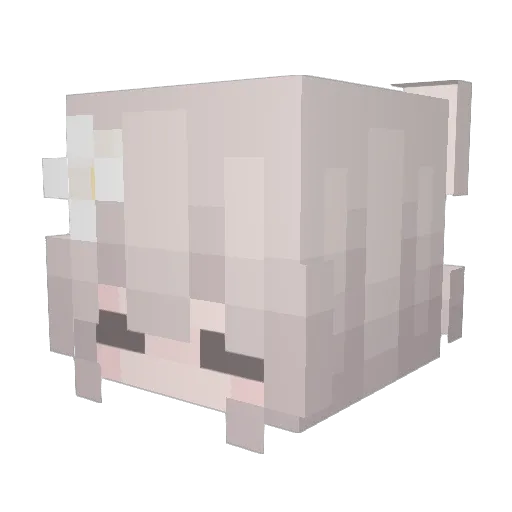 _kowow Minecraft avatar head, 3D render