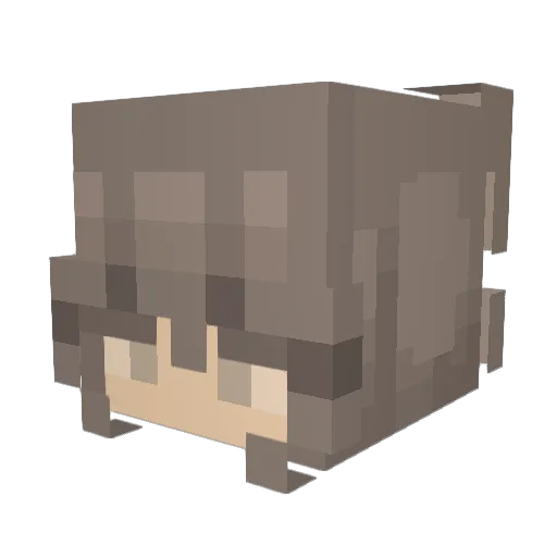 _kqmy1 Minecraft avatar head, 3D render