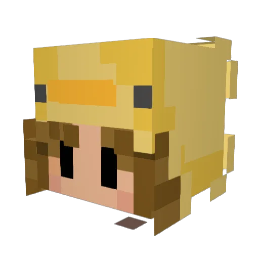 _kylan__ Minecraft avatar head, 3D render
