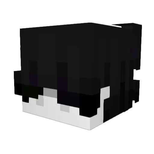 _l3__ Minecraft avatar head, 3D render
