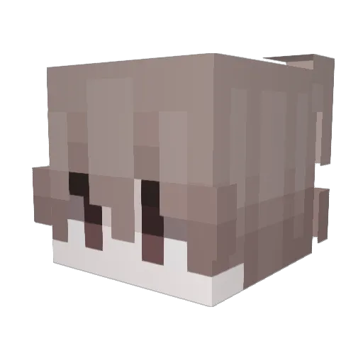 _latwiutk0 Minecraft avatar head, 3D render