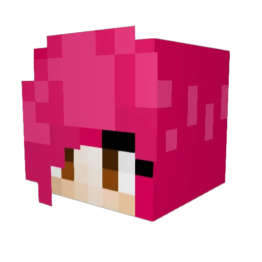 _leaclsn Minecraft avatar head, 3D render