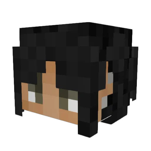 _leebeanz_ Minecraft avatar head, 3D render