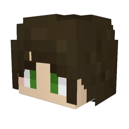 _leida_ Minecraft avatar head, 3D render