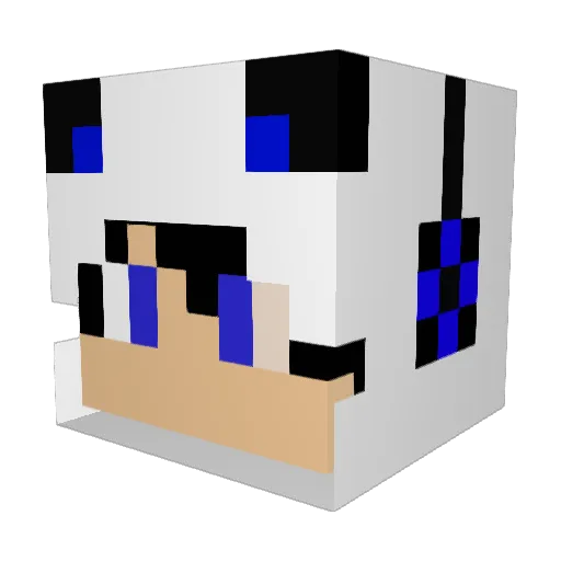_lelinhos Minecraft avatar head, 3D render