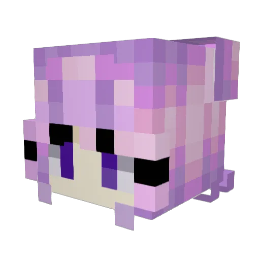 _lepidoptera Minecraft avatar head, 3D render