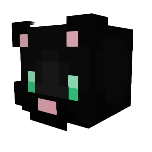 _letter_ Minecraft avatar head, 3D render