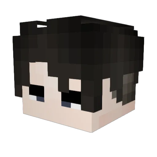 _lev1 Minecraft avatar head, 3D render