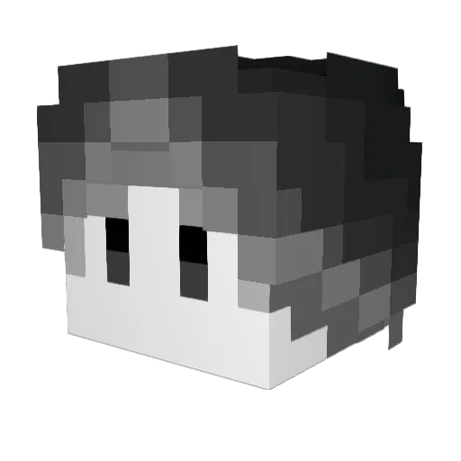 _liang_kuai_ Minecraft avatar head, 3D render