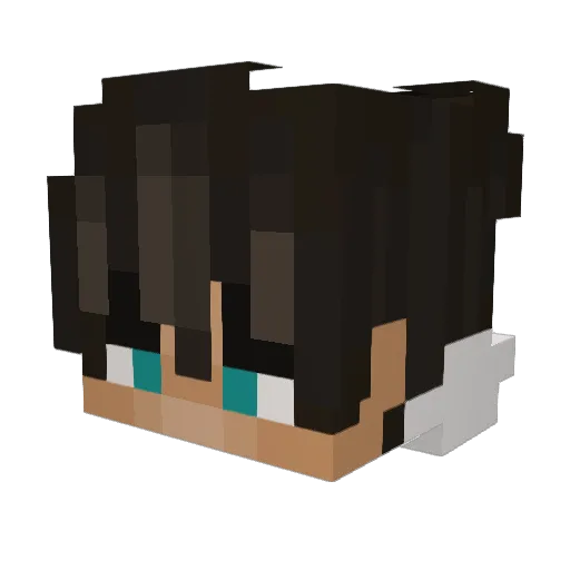 _lilSchmuUnL_ Minecraft avatar head, 3D render
