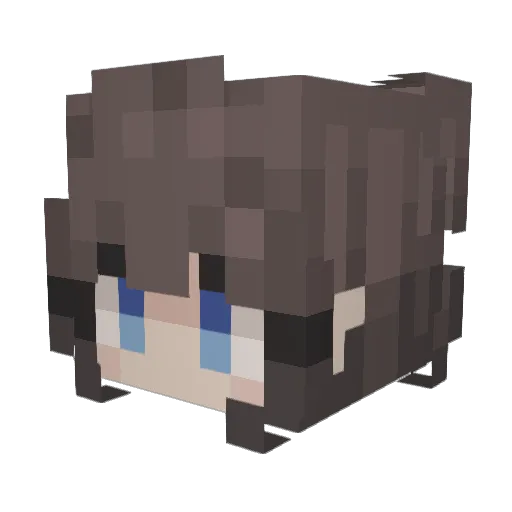 _lil_sleepy Minecraft avatar head, 3D render