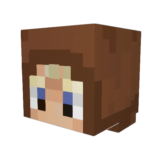 _lil_timmy__ Minecraft avatar head, 3D render