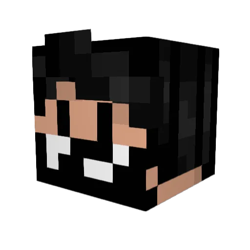 _lilfanman Minecraft avatar head, 3D render