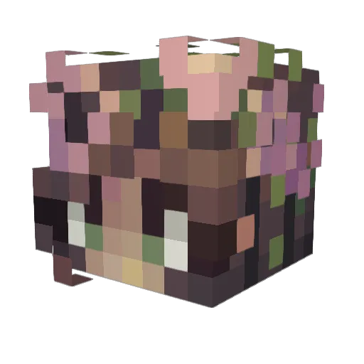 _linax Minecraft avatar head, 3D render