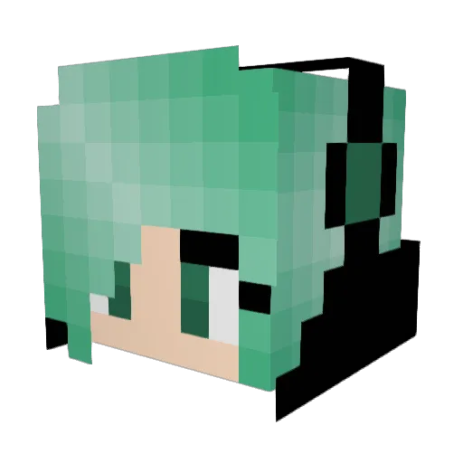 _littleshark_ Minecraft avatar head, 3D render