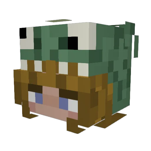 _lizard__ Minecraft avatar head, 3D render