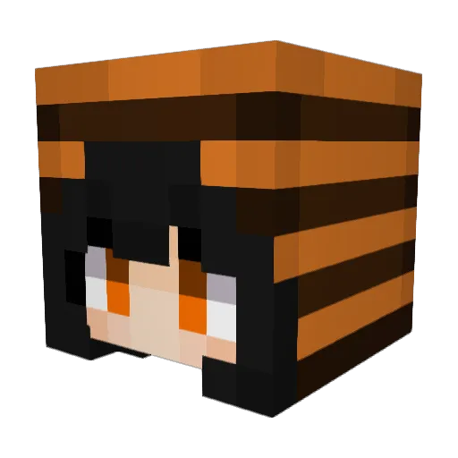 _lizzyisabee Minecraft avatar head, 3D render