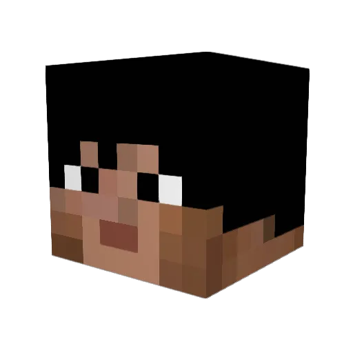 _loggerhead_ Minecraft avatar head, 3D render