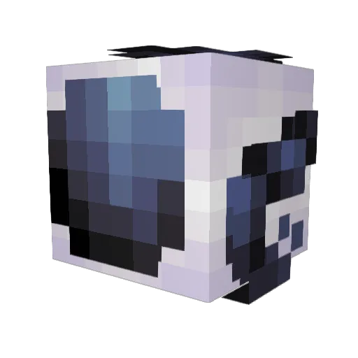 _lucasss Minecraft avatar head, 3D render