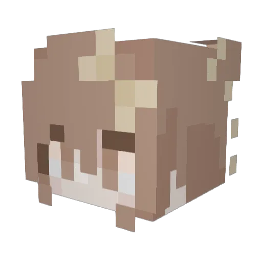 _luminox_ Minecraft avatar head, 3D render