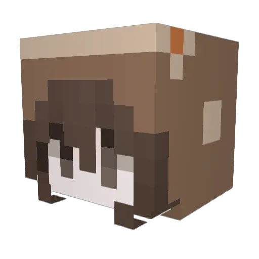 _lupe Minecraft avatar head, 3D render