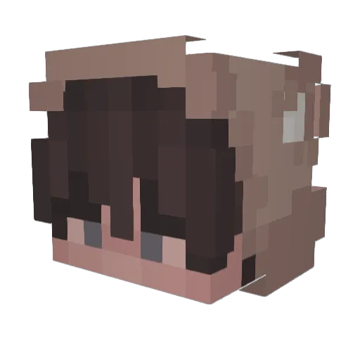 _luxusak_ Minecraft avatar head, 3D render
