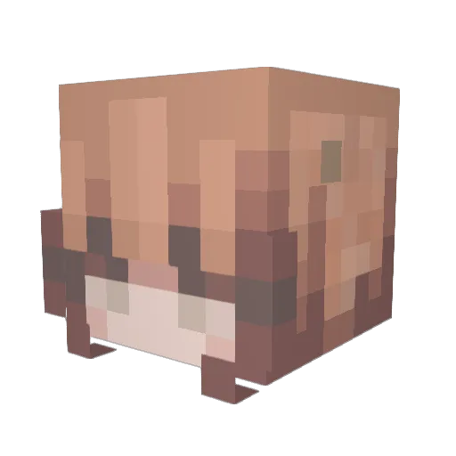 _m0ti0nl3ss Minecraft avatar head, 3D render