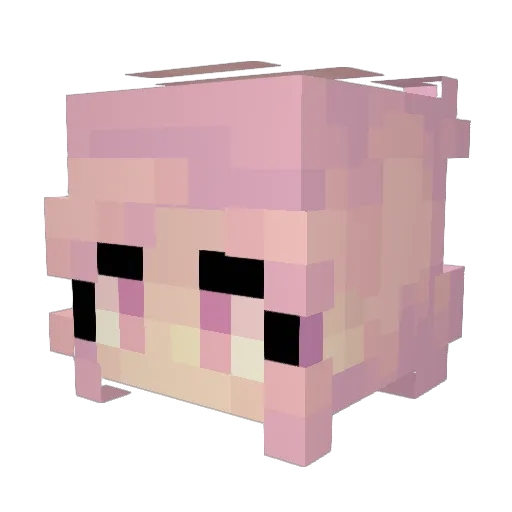 _mae_mochi_ Minecraft avatar head, 3D render