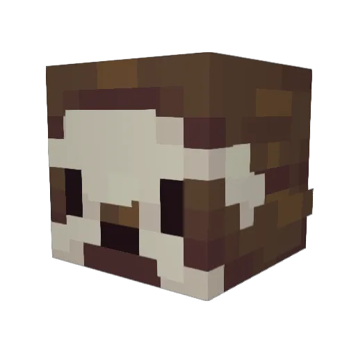 _mag01_ Minecraft avatar head, 3D render