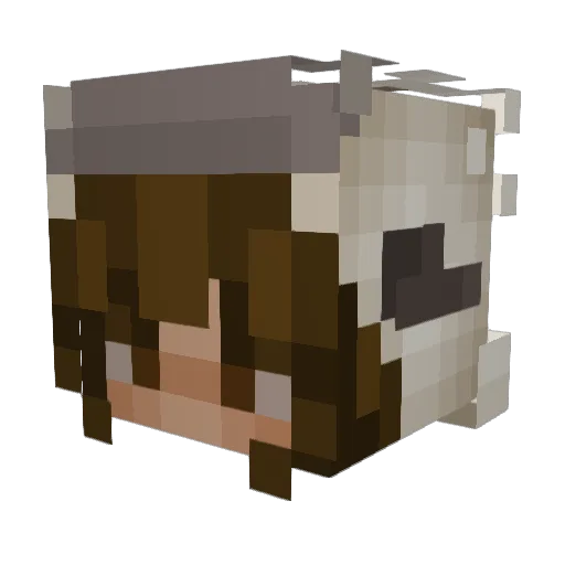 _majaklb Minecraft avatar head, 3D render