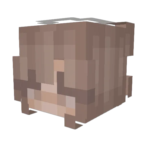 _mashedpotatoes Minecraft avatar head, 3D render