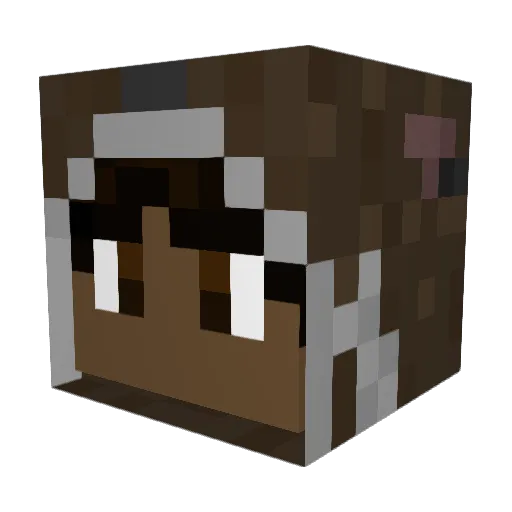 _matini Minecraft avatar head, 3D render