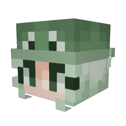 _mcgrammar Minecraft avatar head, 3D render
