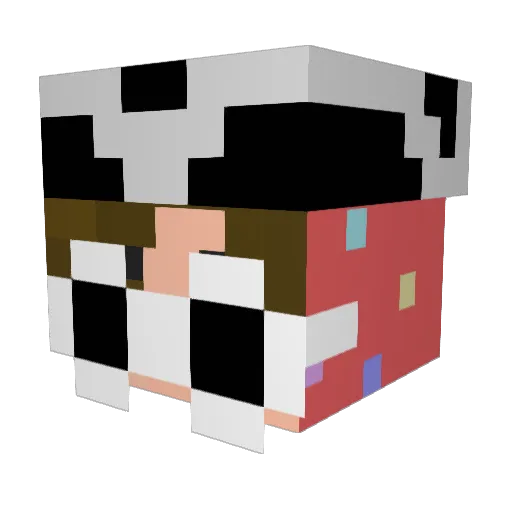 _meer Minecraft avatar head, 3D render