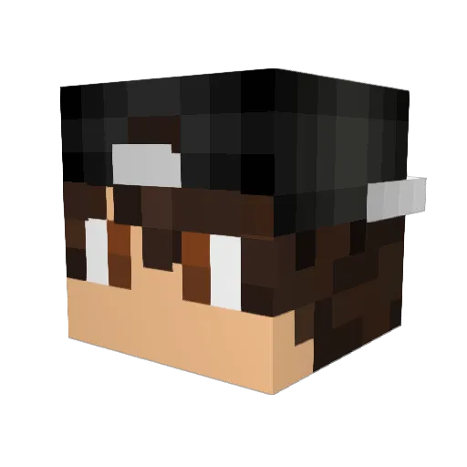 _melibockus20_ Minecraft avatar head, 3D render