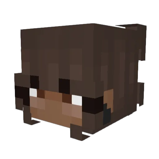 _mellaniiie_ Minecraft avatar head, 3D render