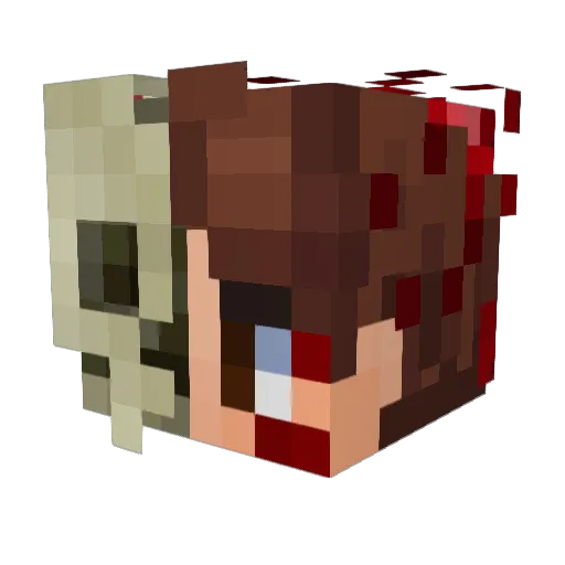 _meq Minecraft avatar head, 3D render