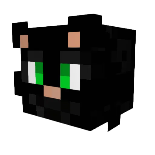 _miaou Minecraft avatar head, 3D render
