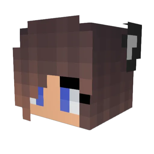 _mikesipad12312 Minecraft avatar head, 3D render