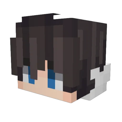 _minecraftminer Minecraft avatar head, 3D render