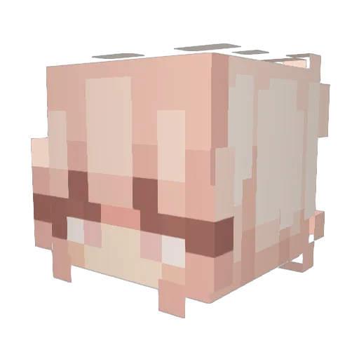 _missanthrope Minecraft avatar head, 3D render