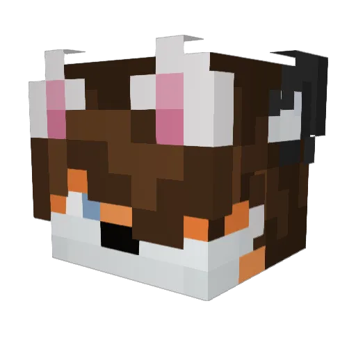 _misterfire Minecraft avatar head, 3D render