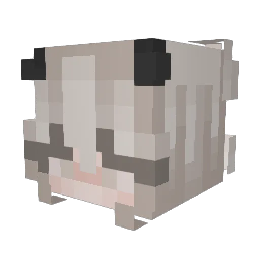_mizuko_ Minecraft avatar head, 3D render