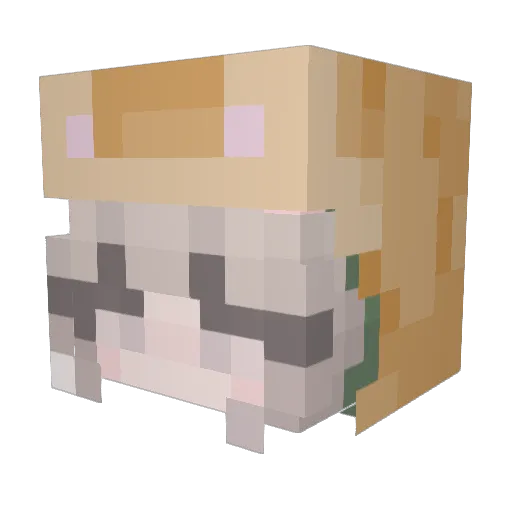 _mochisung_ Minecraft avatar head, 3D render