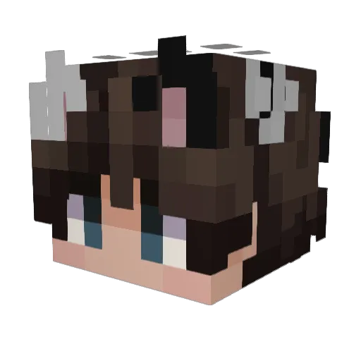 _moonlight75 Minecraft avatar head, 3D render