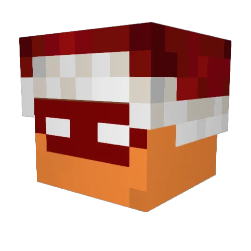 _moori Minecraft avatar head, 3D render