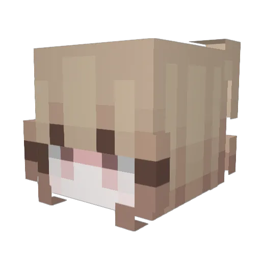 _mrianda Minecraft avatar head, 3D render