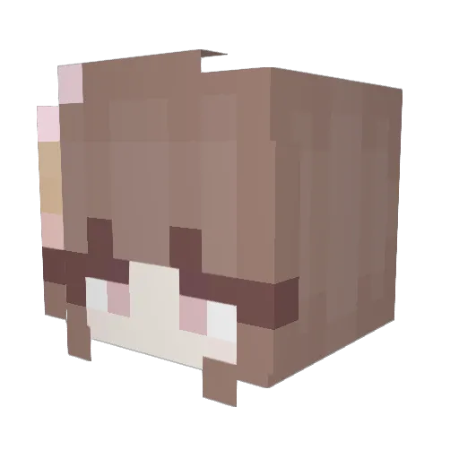 _n0net_ Minecraft avatar head, 3D render